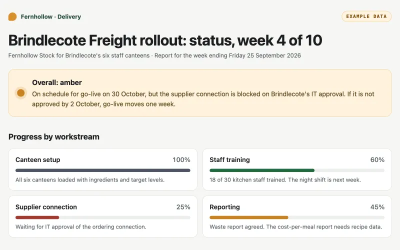 The example status report, with an amber overall status, four workstream progress bars and task filters with counts.